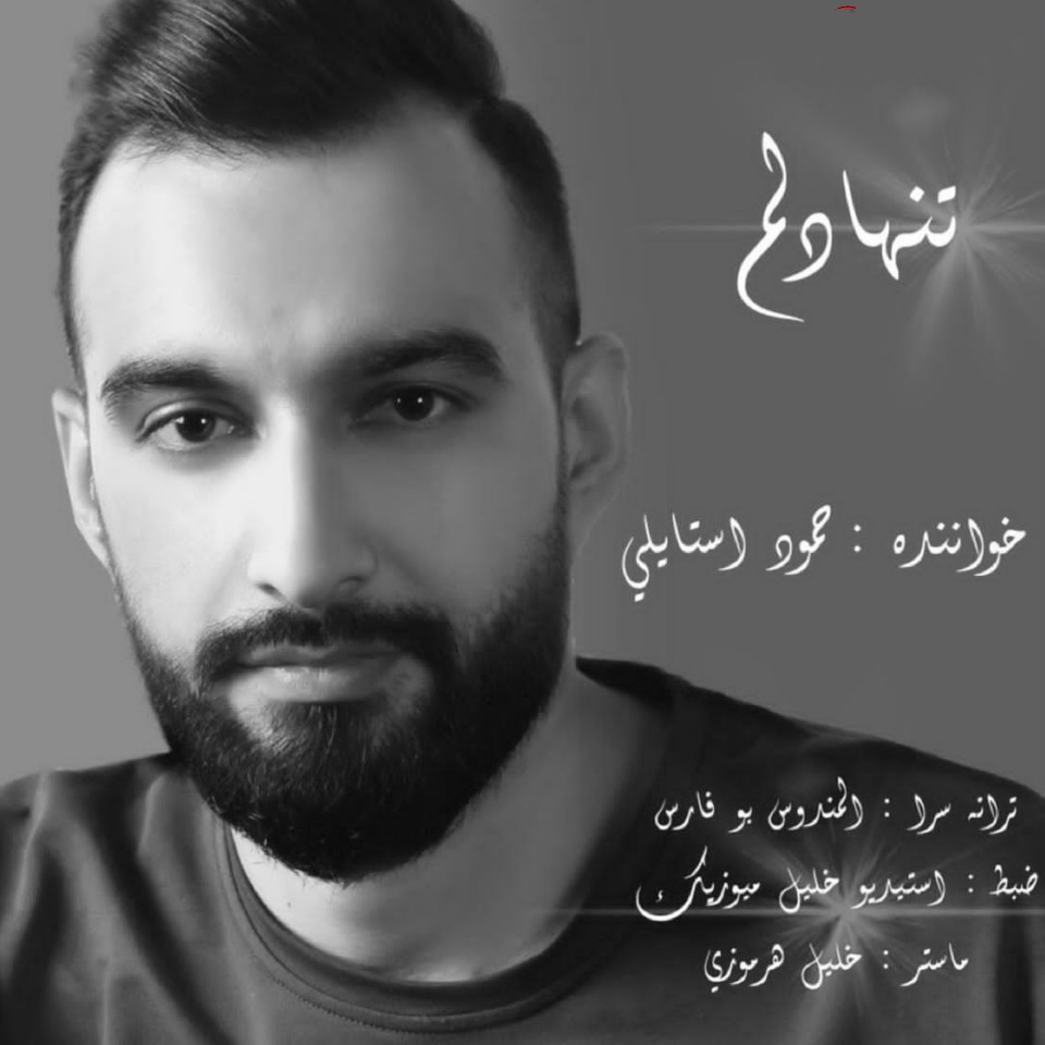 حمود استایلی تنها دلم